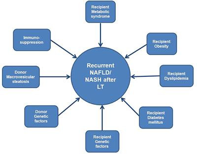 Genetic and Life Style Risk Factors for Recurrent Non-alcoholic Fatty Liver Disease Following Liver Transplantation